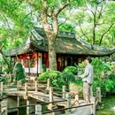 沈荡镇 - 嘉兴市旅游 缩略图 1