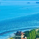 沈荡镇 - 嘉兴市旅游 缩略图 9