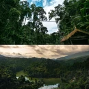 西双版纳热带雨林国家公园望天树景区 - 西双版纳傣族自治州旅游 缩略图 4