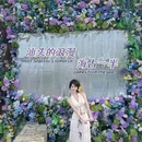 中华路 - 汕头市旅游 缩略图 6