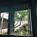 鲁迅故里景区 - 绍兴旅游 缩略图 4