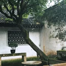 鲁迅故里景区 - 绍兴旅游 缩略图 2