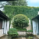 鲁迅故里景区 - 绍兴旅游 缩略图 7