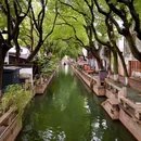同里古镇风景区 - 苏州市旅游 缩略图 8