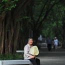 重庆旅游 缩略图 5