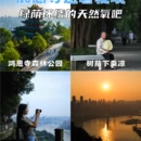 重庆旅游 缩略图 1
