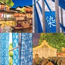 乌镇古镇旅游区 - 嘉兴市旅游 缩略图 7