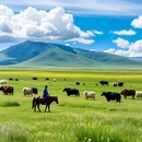 若尔盖大草原 - 阿坝藏族羌族自治州旅游 缩略图 1