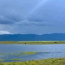 若尔盖大草原 - 阿坝藏族羌族自治州旅游 缩略图 4