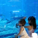 三亚市海棠湾水稻国家公园 - 三亚市旅游 缩略图 5