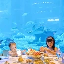 三亚市海棠湾水稻国家公园 - 三亚市旅游 缩略图 2