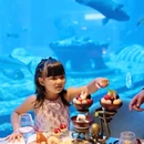 三亚市海棠湾水稻国家公园 - 三亚市旅游 缩略图 8