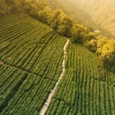 杭州西山国家森林公园白龙潭景区 - 杭州市旅游 缩略图 3
