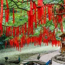 杭州西山国家森林公园白龙潭景区 - 杭州市旅游 缩略图 9