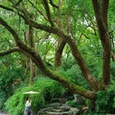 吴山景区-瑞石古洞 - 杭州市旅游 缩略图 2