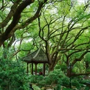 吴山景区-瑞石古洞 - 杭州市旅游 缩略图 3