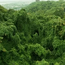 吴山景区-瑞石古洞 - 杭州市旅游 缩略图 9