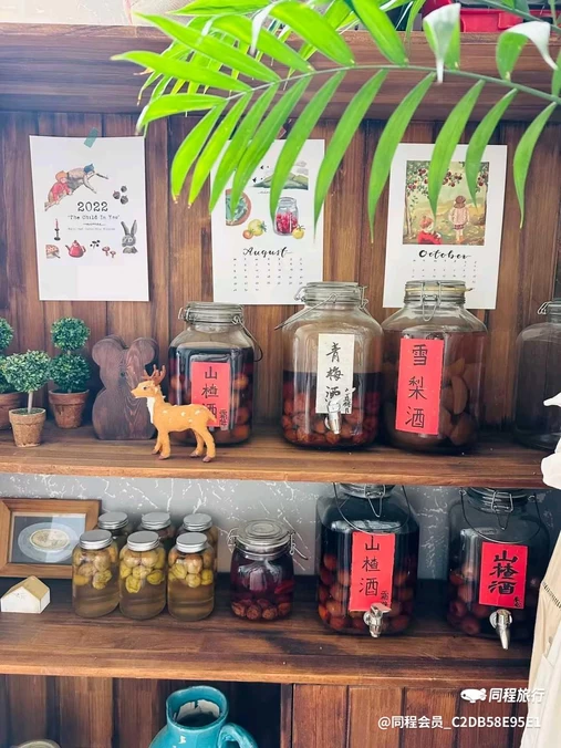 河北商城 - 青岛市旅游