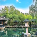 浮庄 - 合肥市旅游 缩略图 6