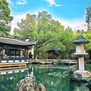 浮庄 - 合肥市旅游 缩略图 9