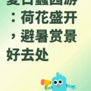 无锡旅游 缩略图 3