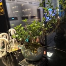 陋室有铭民宿(五一广场IFS国金中心店) - 长沙市旅游 缩略图 9