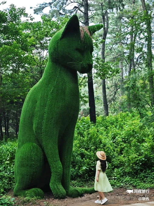 茅山森林世界 - 常州市旅游