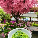 江上渔哥庭院餐厅 - 长沙市旅游 缩略图 7