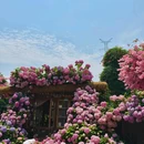 江上渔哥庭院餐厅 - 长沙市旅游 缩略图 9