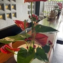 品缦辰酒店(万家丽高桥店) - 长沙市旅游 缩略图 6