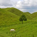 南山牧场 - 邵阳市旅游 缩略图 7