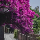 KAFKA·卡夫卡咖啡(文林店) - 昆明旅游 缩略图 3