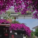 KAFKA·卡夫卡咖啡(文林店) - 昆明旅游 缩略图 2