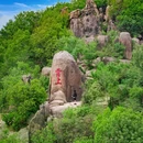 苏州天平山风景名胜区 - 苏州市旅游 缩略图 8