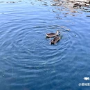扬州迎宾馆18号楼 - 扬州市旅游 缩略图 4