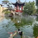 扬州迎宾馆18号楼 - 扬州市旅游 缩略图 2