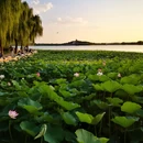 北京旅游 缩略图 3
