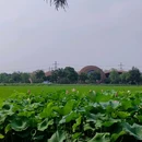 广富林文化遗址 - 上海市旅游 缩略图 5