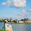 荷兰花海 - 盐城市旅游 缩略图 2