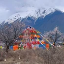 南迦巴瓦峰大本营露营地 - 林芝市旅游 缩略图 6