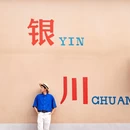 贺兰山岩画 - 银川市旅游 缩略图 1