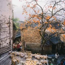 婺源县文化广场 - 上饶市旅游 缩略图 4