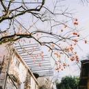 婺源县文化广场 - 上饶市旅游 缩略图 8