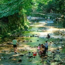 天台山大瀑布 - 台州市旅游 缩略图 7