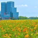 成都市人民公园 - 成都市旅游 缩略图 5