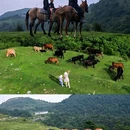 宜昌里 - 天津市旅游 缩略图 1