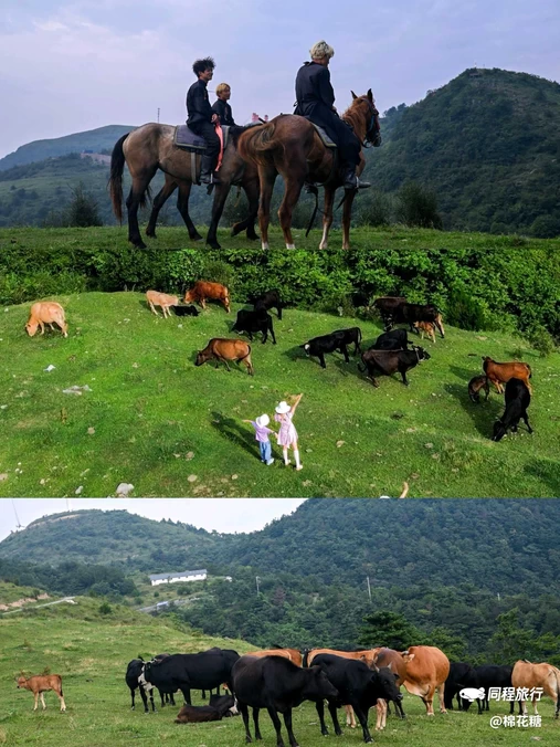 宜昌里 - 天津市旅游