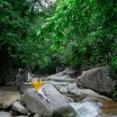篁岭景区 - 上饶市旅游 缩略图 9