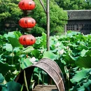南浔古镇景区 - 湖州市旅游 缩略图 3