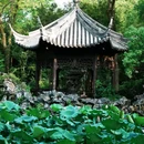 南浔古镇景区 - 湖州市旅游 缩略图 7